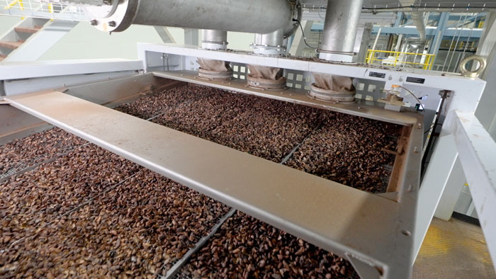 Cocoa Bean Processing