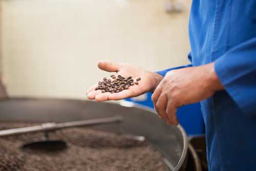 Community development and cocoa farm